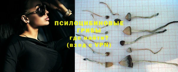 ПСИЛОЦИБИНОВЫЕ ГРИБЫ Алексин