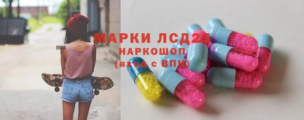 ПСИЛОЦИБИНОВЫЕ ГРИБЫ Алексин
