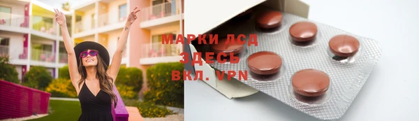 ПСИЛОЦИБИНОВЫЕ ГРИБЫ Алексин