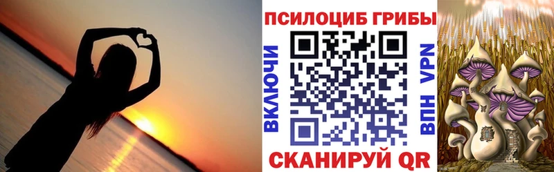 Псилоцибиновые грибы ЛСД  Сухиничи 